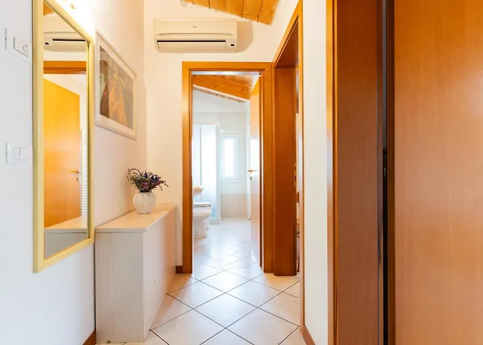 Zenith 利多迪迪耶索洛