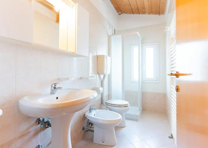 Zenith 利多迪迪耶索洛