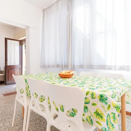 Zenith * Τζεσόλο Λίντο